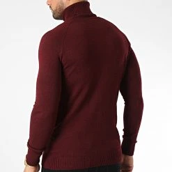 Acheter ✨ Pull Col Roulé T3873 Bordeaux de Classic Series ⌛ -Classic Series Soldes classic series 344533 T3873 BORDO 20221020T143539 04