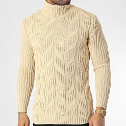 Les meilleures critiques de ⭐ Pull Col Roulé T3843 Beige de Classic Series 👍